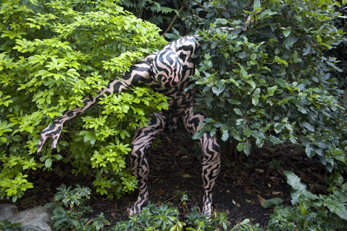 Camouflage: Dazzled