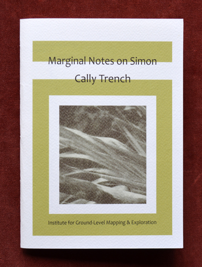 Cally Trench: Marginal Notes on Simon