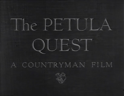 The Petula Quest