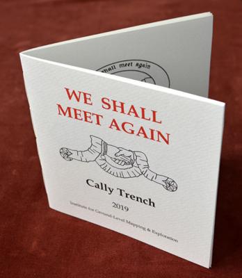 WE SHALL MEET AGAIN (2019)  by Cally Trench