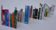 Remarkable Bookshelf