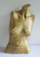 Body Modification - Torso by Imogen Welch