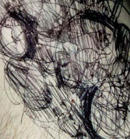 Detail of Untitled by Estelle Holland