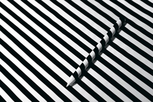 Detail of Untitled by T�nia Bandeira Duarte