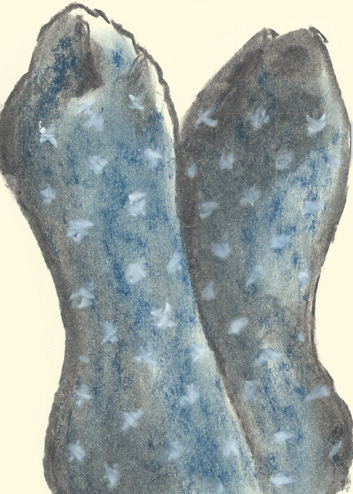 Drawing by Cally Trench