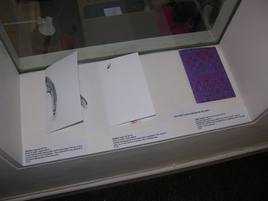 At Play 2012 at the New Ashgate Gallery