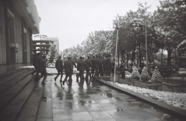 Brownie 127 photography by Barbara Dyrschka