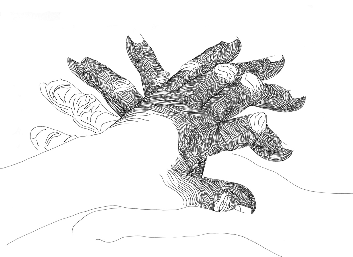 Left Hand, Right Hand III 126/857, Monday 8th December 2025,  2.12-2.42 pm 