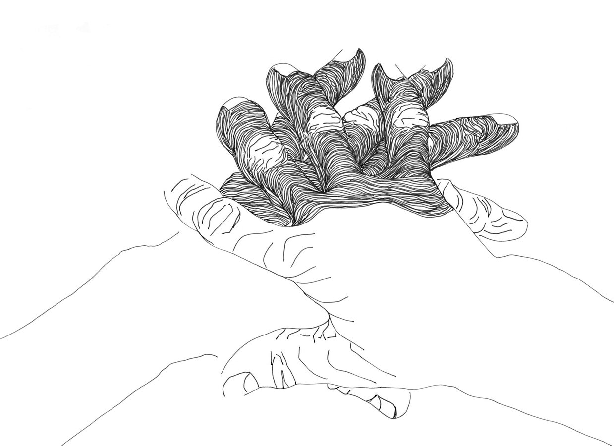 Left Hand, Right Hand III 154/885, Monday 5th January 2025, 3.12-3.42 pm