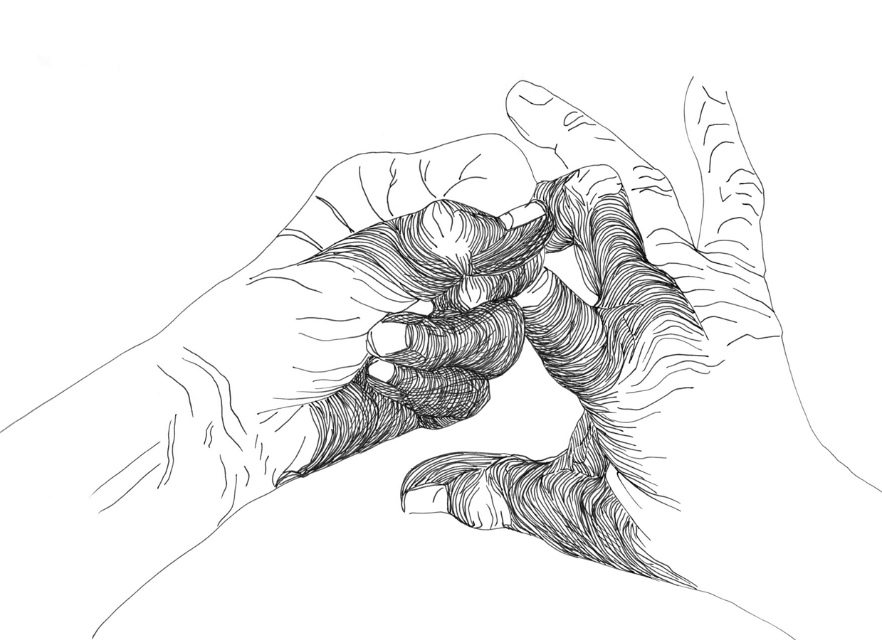 Left Hand, Right Hand III 161/892, Monday 12th January 2025, 11.37 am - 12.07 pm