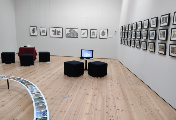 Exploring inside the box at Cornerstone Arts Centre