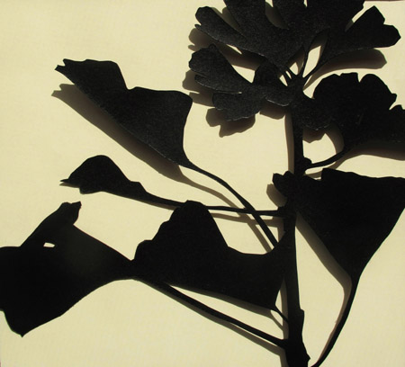 Ginkgo near Aldermaston by Joan Skelton Smith