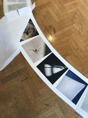 Installing 'Making Connections' at South Hill Park
