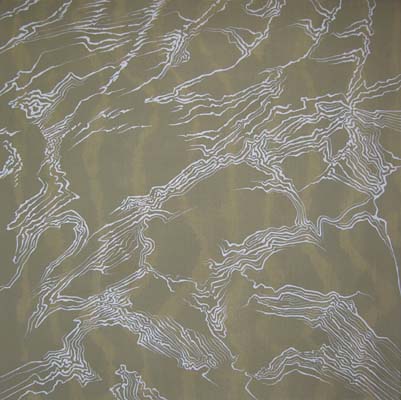 Shallow Water