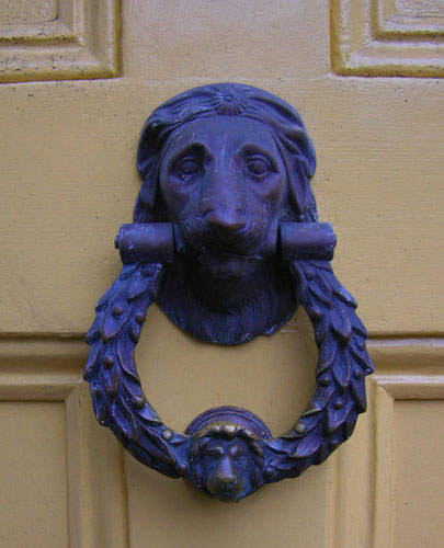 Sophie's Door