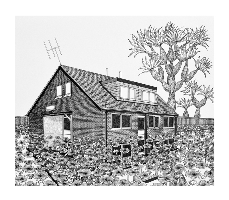 Timberfields Road with Bosch tree by Cally Trench