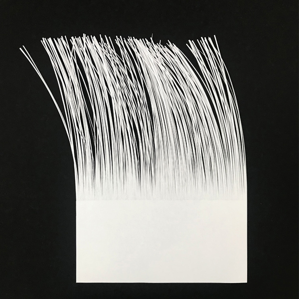 Tineke Bruijnzeels, A4 no. 12