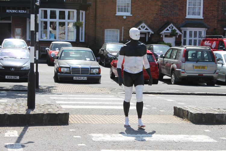  In Praise of Zebra Crossings