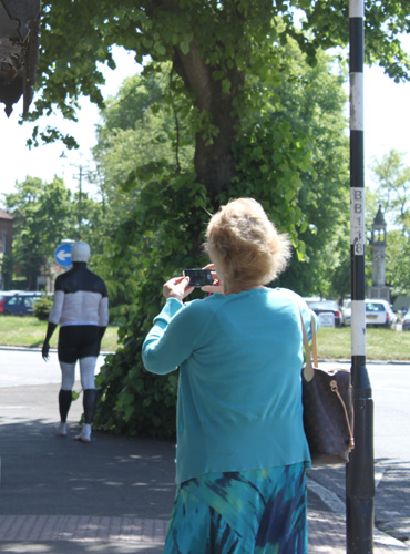 In Praise of Zebra Crossings by Cally Trench, Ann Rapstoff and Philip Lee